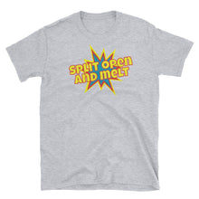 Load image into Gallery viewer, Phish / Split Open And Melt T-Shirt