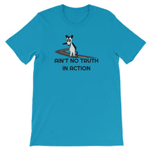 Load image into Gallery viewer, Phish / Possum / Ain't No Truth In Action T-Shirt