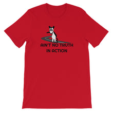 Load image into Gallery viewer, Phish / Possum / Ain't No Truth In Action T-Shirt