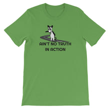 Load image into Gallery viewer, Phish / Possum / Ain't No Truth In Action T-Shirt