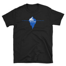 Load image into Gallery viewer, Phish / It's Ice T-Shirt