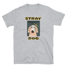 Load image into Gallery viewer, Phish / Kasvot Vaxt / Stray Dog T-Shirt