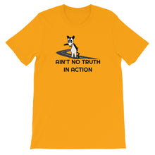 Load image into Gallery viewer, Phish / Possum / Ain't No Truth In Action T-Shirt