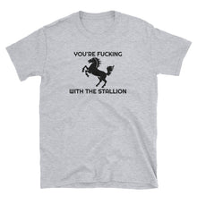 Load image into Gallery viewer, Ween / The Stallion / You're Fucking with the Stallion T-Shirt