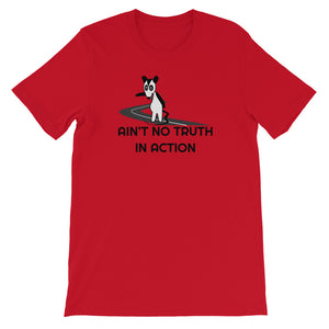 Phish / Possum / Ain't No Truth In Action T-Shirt
