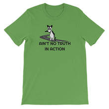 Load image into Gallery viewer, Phish / Possum / Ain&#39;t No Truth In Action T-Shirt