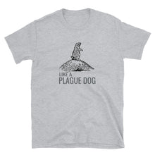 Load image into Gallery viewer, Phish / Dicks Stray Dog / Plague Dog T-Shirt