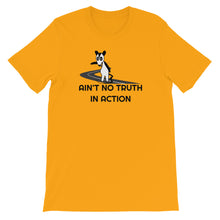 Load image into Gallery viewer, Phish / Possum / Ain&#39;t No Truth In Action T-Shirt
