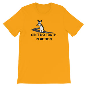 Phish / Possum / Ain't No Truth In Action T-Shirt