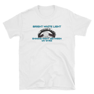 Phish / Kasvot Vaxt / Everything Is Hollow / Bright White Light T-Shirt